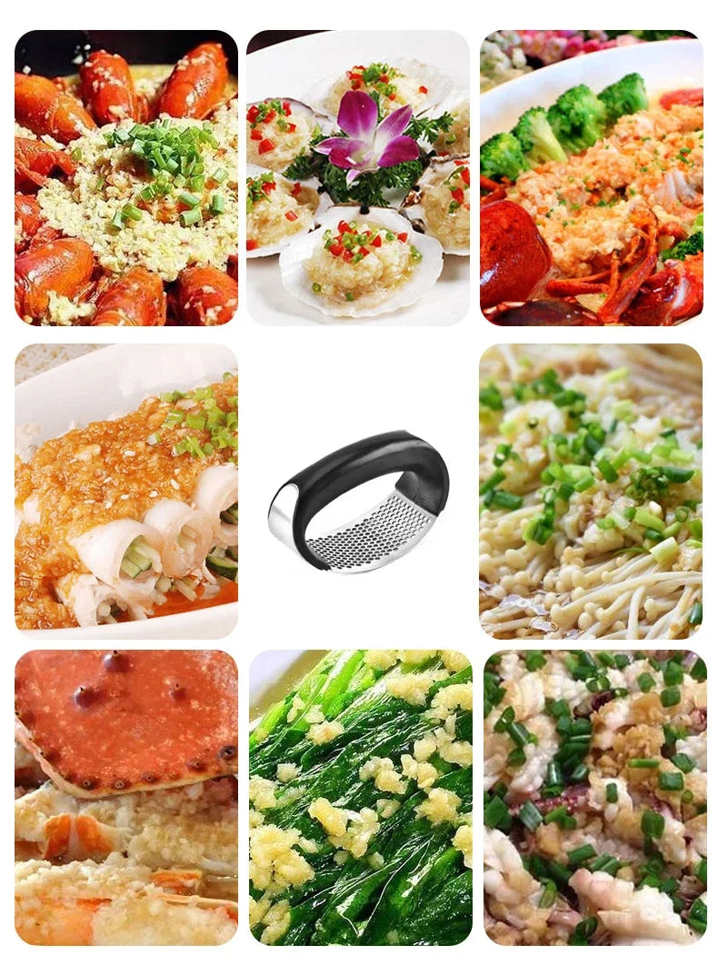 Stainless Steel Garlic Press