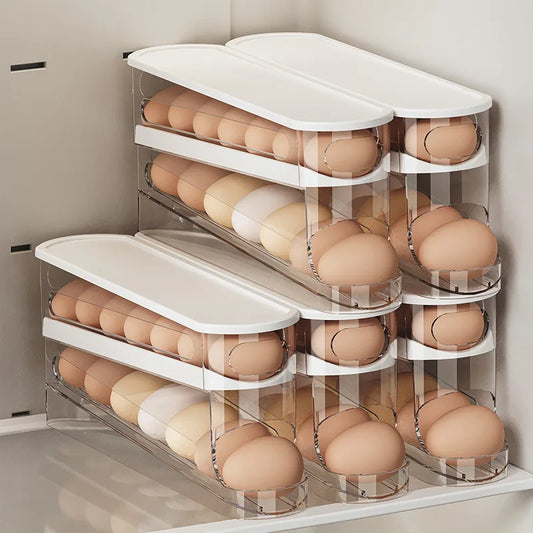 Bilayer Rolling Egg Organizer