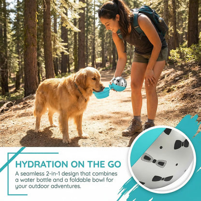 Stainless Steel Dog Water Bottle 285ml | Leak-Proof & Foldable