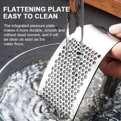 Stainless Steel Garlic Press